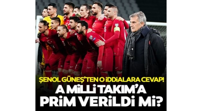 Milli Takım'a prim verildi mi? Şenol Güneş'ten açıklama...