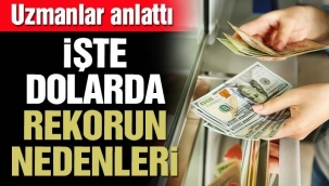 Dolar/TL neden rekor kırdı?