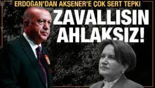 Erdoğan'dan Akşener'e: Daha neler olacak neler!
