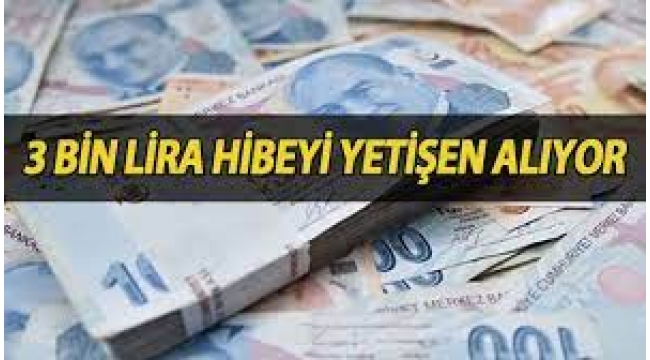 Milyonlarca kişiye hibe bugün başladı! Başvuru şartları neler?