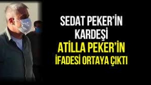 Sedat Peker'in kardeşi Atilla Peker'in ifadesi ortaya çıktı!