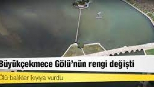 Büyükçekmece Gölü'nün rengi değişti! Tedirgin eden görüntü