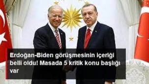 Erdoğan-Biden görüşmesi  Masada 5 kritik konu başlığı var