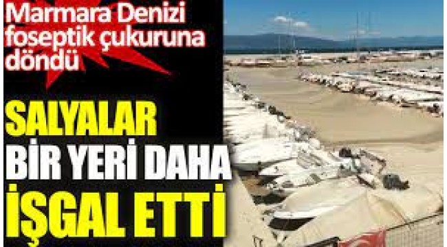 Salyalardan. Marmara Denizi foseptik çukuruna döndü