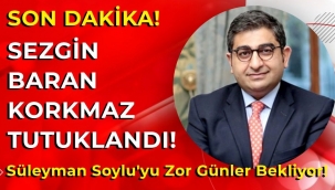Sezgin Baran Korkmaz, Avusturya'da tutuklandı