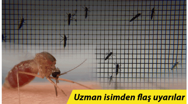 Asya Kaplan Sivrisineği alarmı! Prof. Dr. Kovancı'dan önemli uyarılar