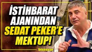 Eski istihbarat ajanı Enver Altaylı'dan Sedat Peker'e mektup