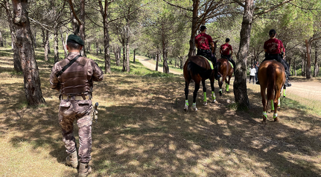 İstanbul Valiliği'nden 'ormanlara girmek yasak' açıklaması