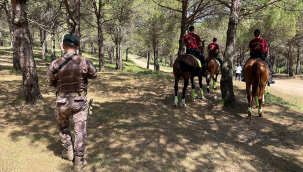 İstanbul Valiliği'nden 'ormanlara girmek yasak' açıklaması
