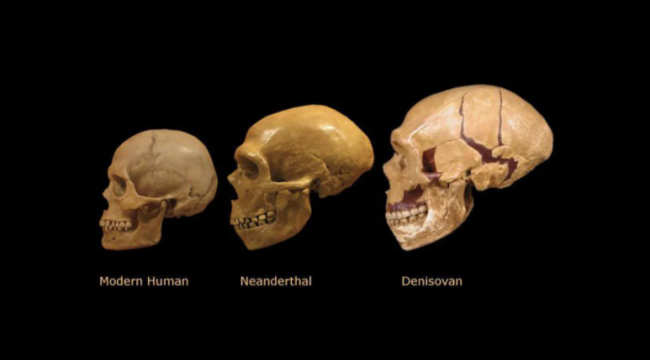 O kadar özel değiliz... İnsan DNA'sından ne çıktı