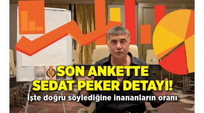 Son Ankette Sürpriz Sonuçlar: Sedat Peker Detay