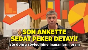 Son Ankette Sürpriz Sonuçlar: Sedat Peker Detay