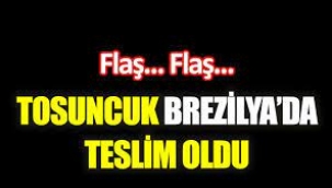 Gazeteci İsmail Saymaz, Tosuncuk Mehmet Aydın'ın Planını Anlattı