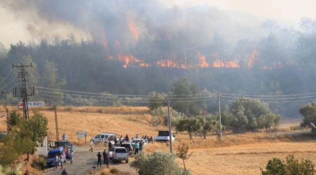 Arazi mafyalarının yangınlarla ilgisi