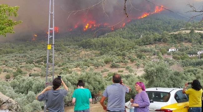 Aydın'a sıçrayan yangında son durum