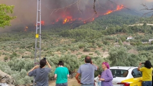 Aydın'a sıçrayan yangında son durum