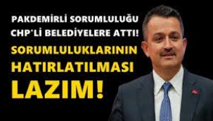 Bakan Pakdemirli: Sorumluluk Belediyelerdedir