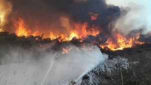 Fahrettin Altun duyurdu: 189 yangından 174'ü kontrol altına alındı