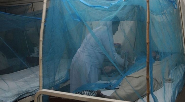 İlk kez tespit ettiler: Bangladeş'te "DENV-3" varyantı ortaya çıktı