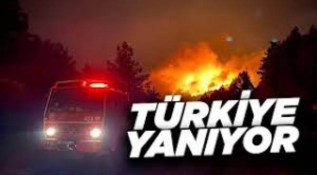 Manavgat'tan acı haber... Bodrum yanıyor