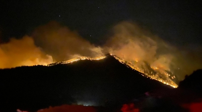 Orman yangınlarıyla mücadelede 7.gün: 5 ilde yangınlar devam ediyor