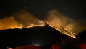 Orman yangınlarıyla mücadelede 7.gün: 5 ilde yangınlar devam ediyor