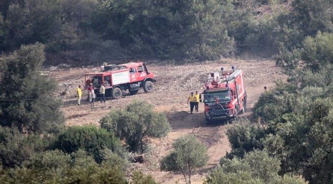 Rüzgar alevleri güçlendirdi: Çökertme'ye kül yağıyor