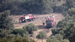 Rüzgar alevleri güçlendirdi: Çökertme'ye kül yağıyor