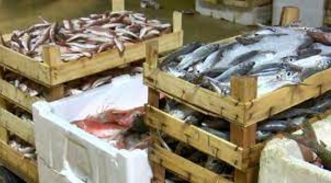 Balıkçılar 'vira bismillah' dedi... Kasalar dolup taştı! İşte balık fiyatları...