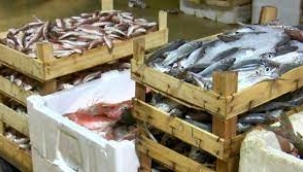 Balıkçılar 'vira bismillah' dedi... Kasalar dolup taştı! İşte balık fiyatları...