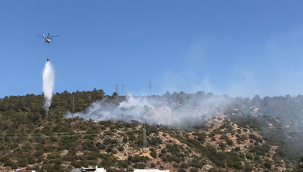 Bodrum'da orman yangını