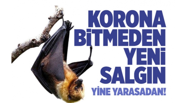 Koronavirüs bitmeden yeni salgın!