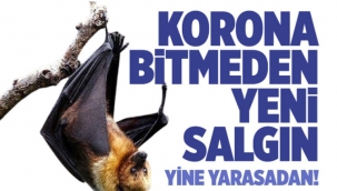 Koronavirüs bitmeden yeni salgın!