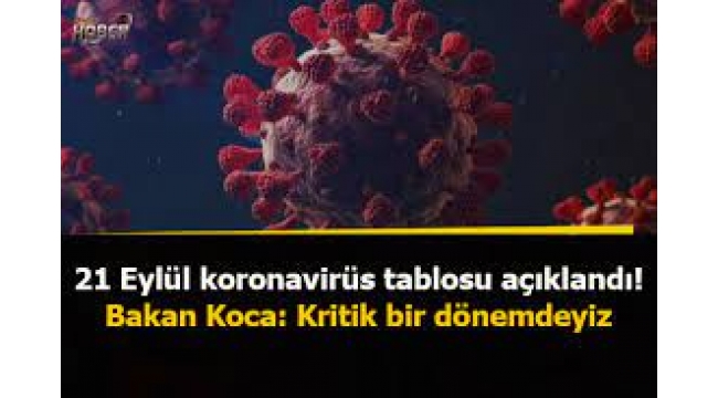 Sağlık Bakanlığı, Kritik bir dönemdeyiz" uyarısında bulundu.