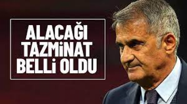 Şenol Güneş'in alacağı tazminat belli oldu