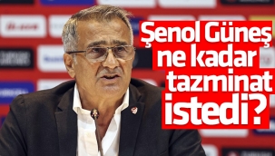 Şenol Güneş tazminat alacak mı