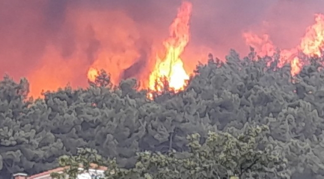 Yangınların Ardından Bodrum, Milas'ta Ali Ağaoğlu ve Besim Tibuk'un 'Şahsına Özel' Bir 'Kasaba' Kuruluyor!
