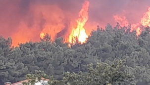 Yangınların Ardından Bodrum, Milas'ta Ali Ağaoğlu ve Besim Tibuk'un 'Şahsına Özel' Bir 'Kasaba' Kuruluyor!
