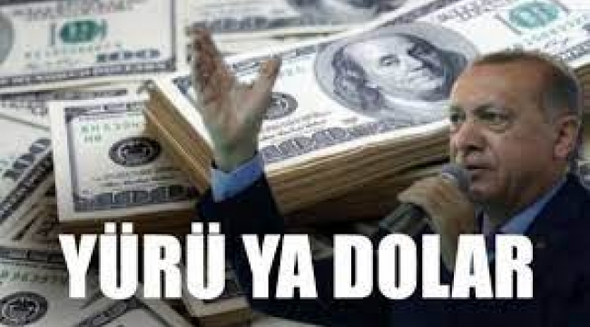 Merkez Bankası yönetiminde operasyon; iki başkan yardımcısı ile bir PPK üyesi görevden alındı, dolar kurunda yeni rekor kırıldı!