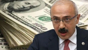Bakan Elvan konuştu dolar ve euro fırladı