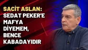 Sacit Aslan'dan Sedat Peker Açıklaması: Mafya Diyemem, Kabadayıdır