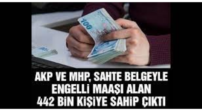 Sayıştay: Son 3 yılda sahte belgeyle 442 bin kişiye engelli maaşı verildi