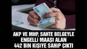 Sayıştay: Son 3 yılda sahte belgeyle 442 bin kişiye engelli maaşı verildi