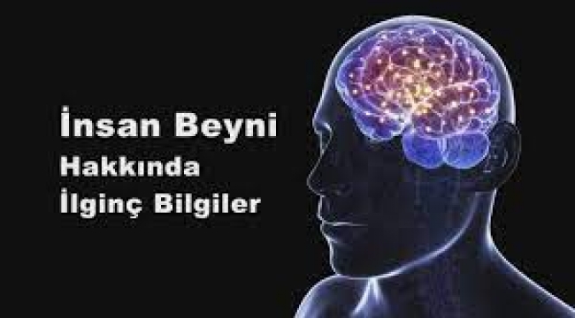 Beyin ile ilgili şaşırtan bilgi