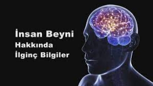 Beyin ile ilgili şaşırtan bilgi