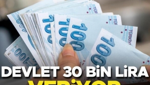 Devlet 30 bin lira veriyor