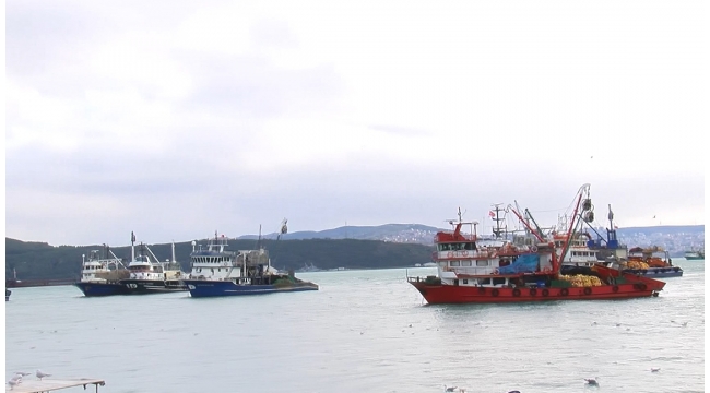 İstanbul'da balıkçılar ağ topladı, iki gün avlanmayacaklar