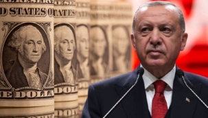 Japon bankası Erdoğan'ın 5 adımlı planını açıkladı