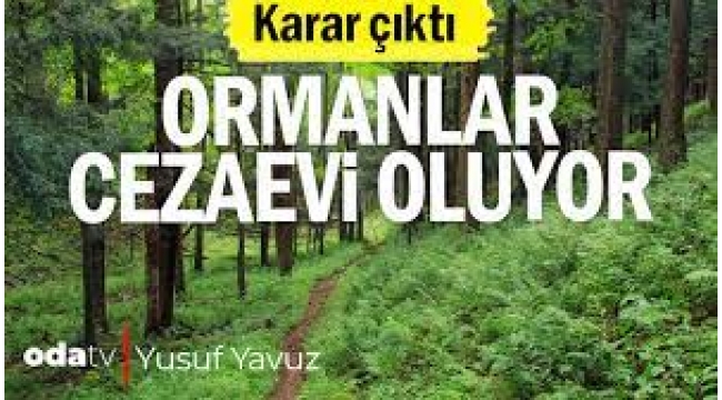 Karar çıktı: Ormanlar cezaevi oluyor