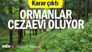 Karar çıktı: Ormanlar cezaevi oluyor